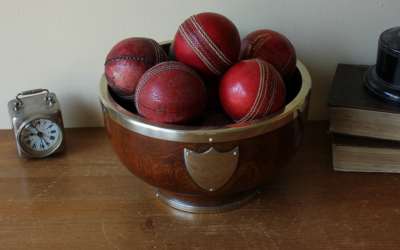 Cricket Trophy Bowl