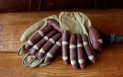 Frank Bryan Tom Graveney Cricket Gloves