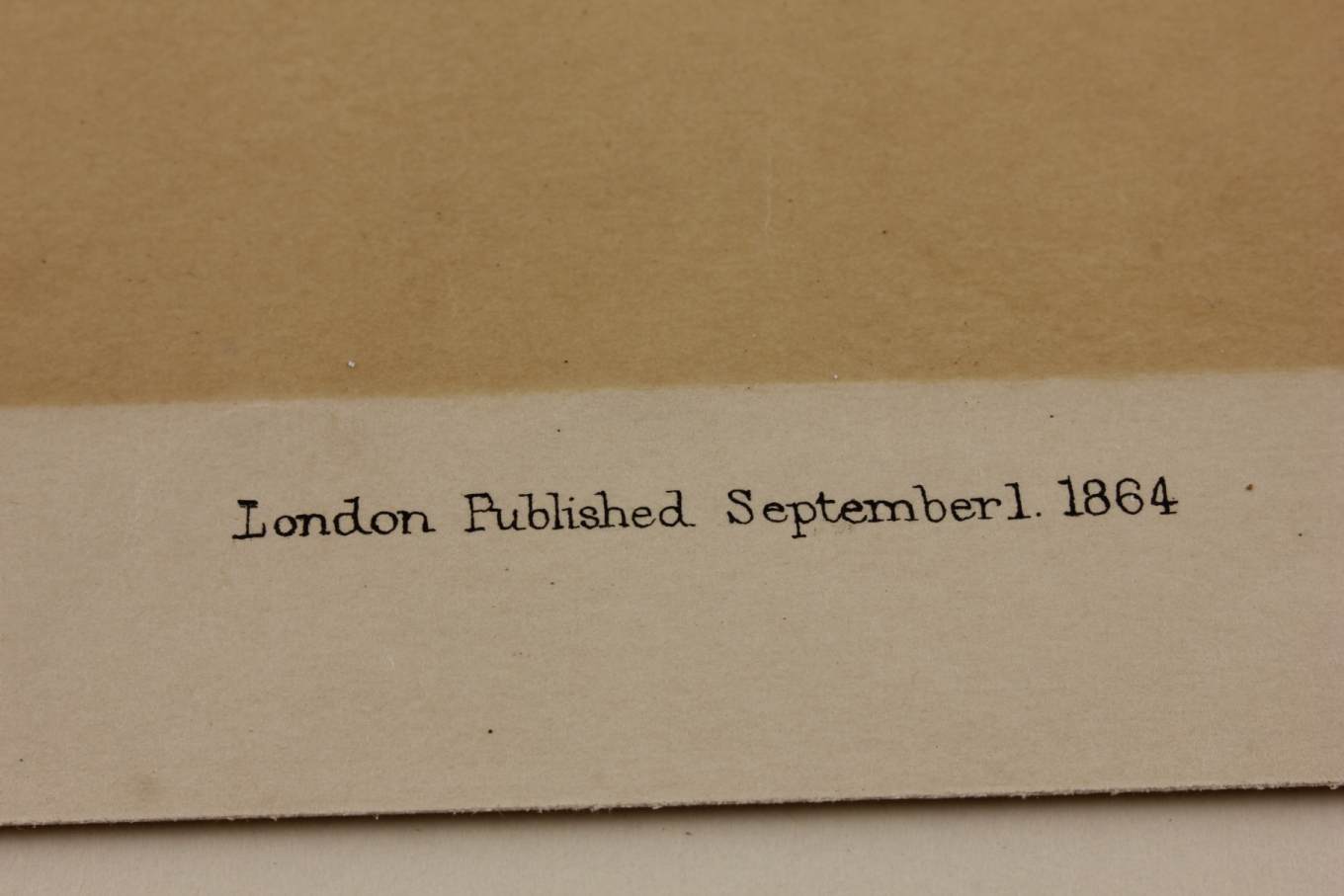 G Ellis 1864 Illustration of Dissection The Face. Anatomy Lithograph.