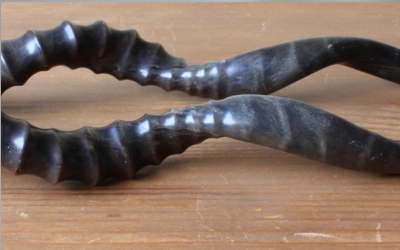 African Gazelle Horns