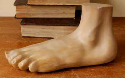Anatomical Foot Model