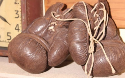 Boxing Gloves