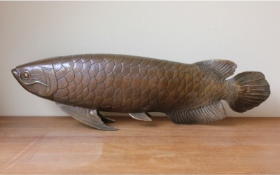 Bronze Koi Carp