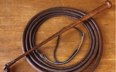 Bullwhip