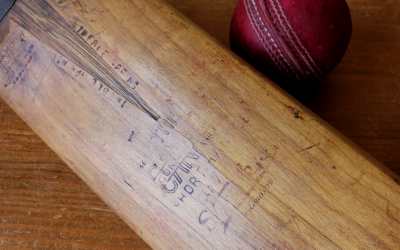 Cannon Cricket Bat