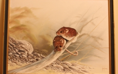 Mike Nance Field Mice