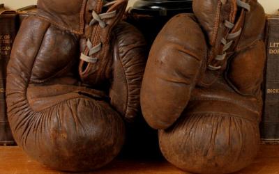 Frank Bryan Boxing Gloves