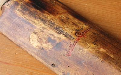 Gunn Moore Bat