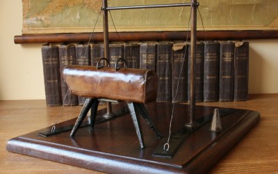 Gym Display Model