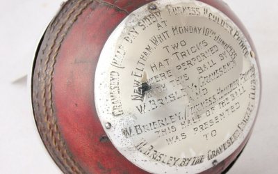 Half Cricket Ball Trophy