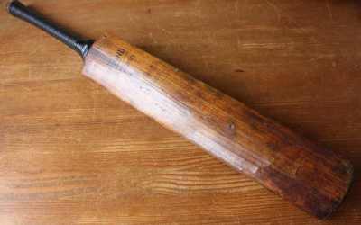 Hammond Cricket Bat