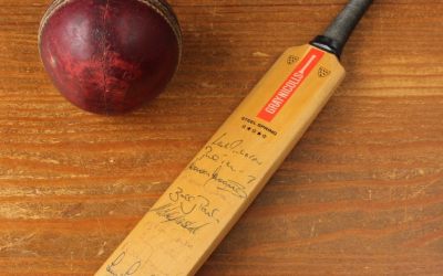 Hampshire 1980 Bat