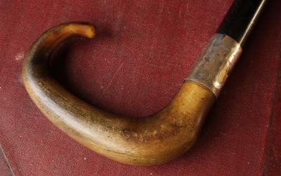JH Horn Cane