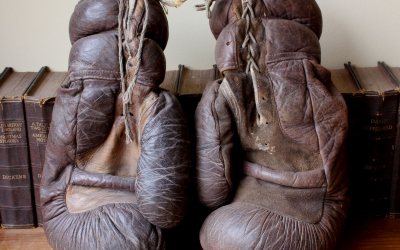 Large Boxing Gloves