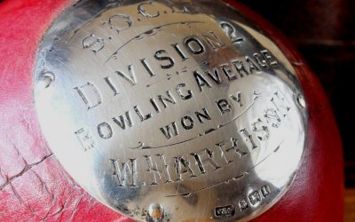 Cricket Ball Trophy