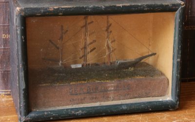Seabird Ship
