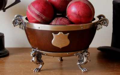 Small Cricket Ball Bowl