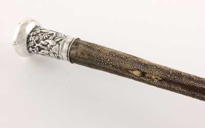 Stingray Tail Walking Stick