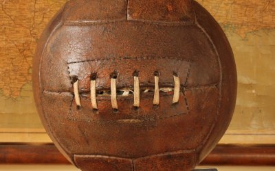 12 Panel Brown Ball