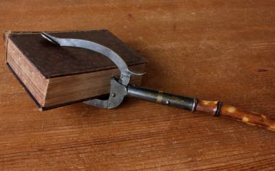 Victorian Bamboo Grabber Tool