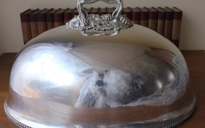 Silver Plate Food Cover
