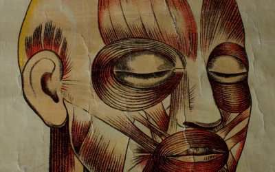 Vintage Body Wall Chart