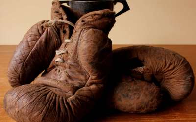 Vintage Reach Boxing Gloves