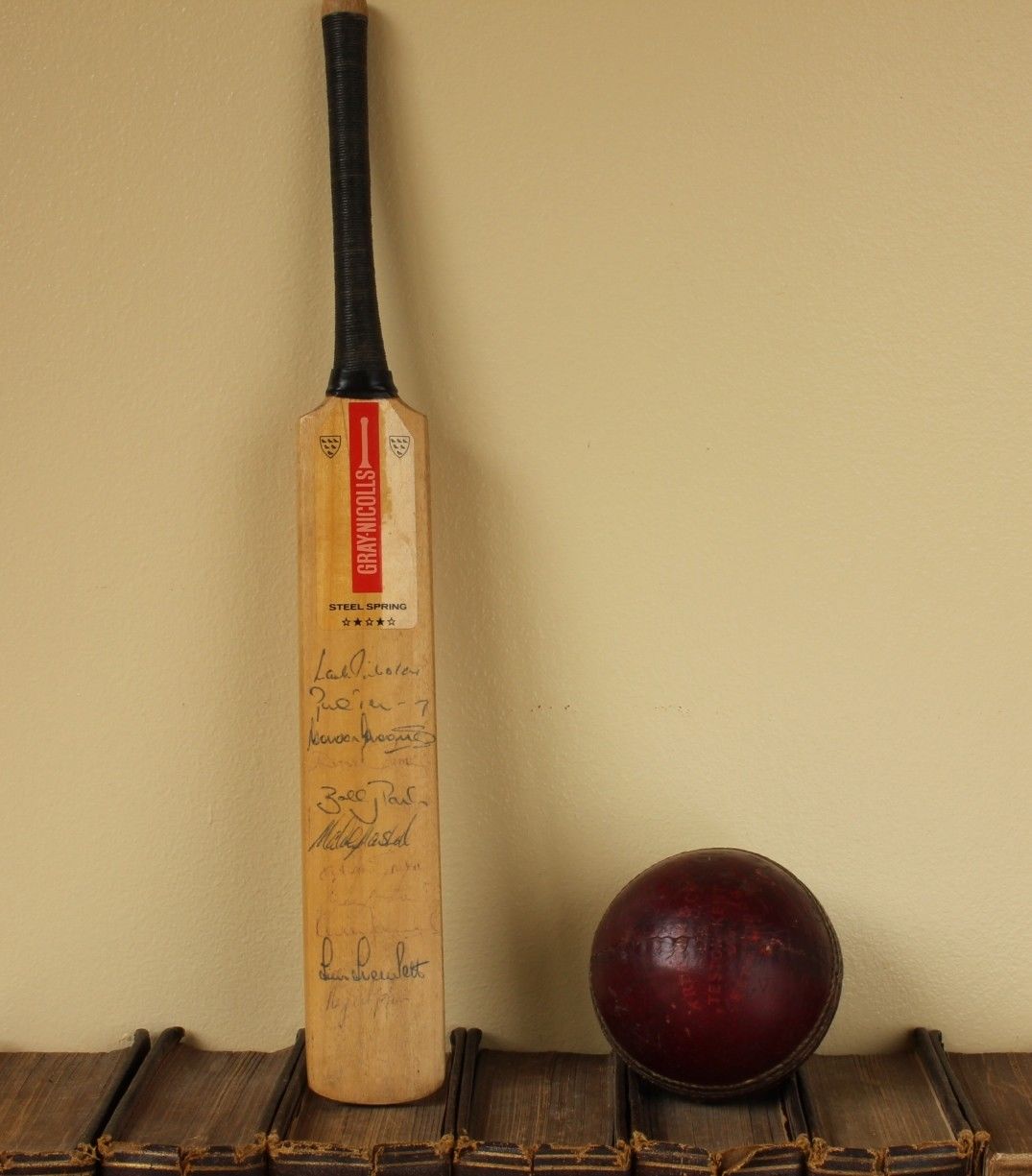 Miniature Gray Nicolls Original Autograph Mini Cricket Bat Hampshire