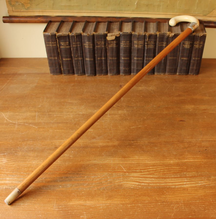 Malacca & Ivory Walking Stick Cane. Silver Plated Collar. Crook Handle.